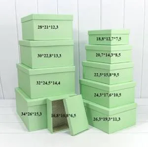 Коробка 16,8*10,8*6,5 см Бледно-зеленый