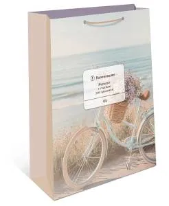 Пакет подарочный 18*22,3*10 см. / 1192.051