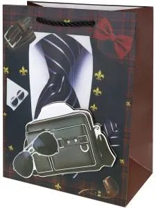 Пакет подарочный L/ППК-3594 26*32*10 см.