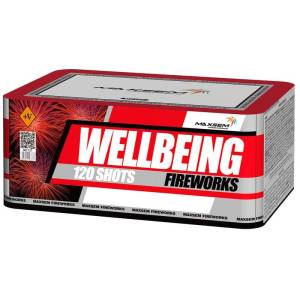 Wellbeing Fireworks 0.8" 120 залпов