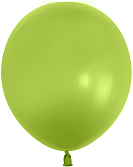 12" Весенне-зеленый пастель /512-12S06