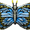 Бабочка крылья голубые /Flexmetal