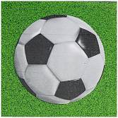 Салфетка "Футбол" 25 см 12 шт./1502-5270