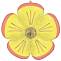 Цветок Маргаритка желтая (Anagram)/1207-5324