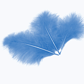 Набор перьев (голубой) 30 шт.172005